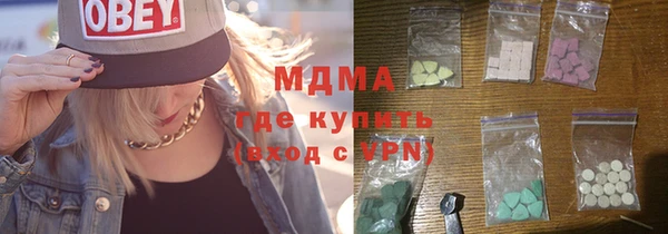 индика Краснослободск