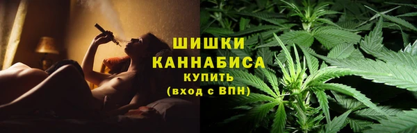 индика Краснослободск