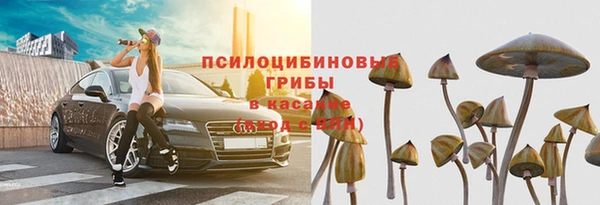 индика Краснослободск