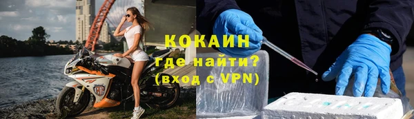 индика Краснослободск