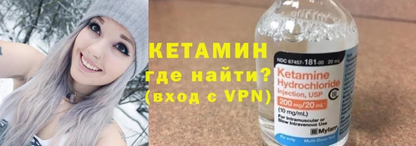 индика Краснослободск