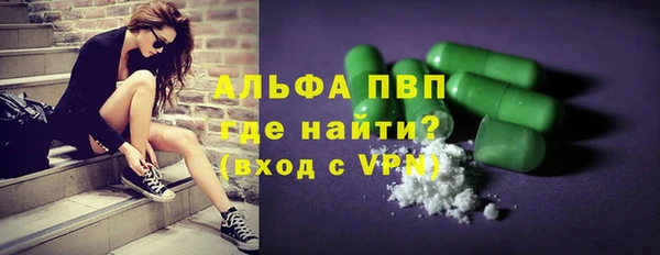 индика Краснослободск