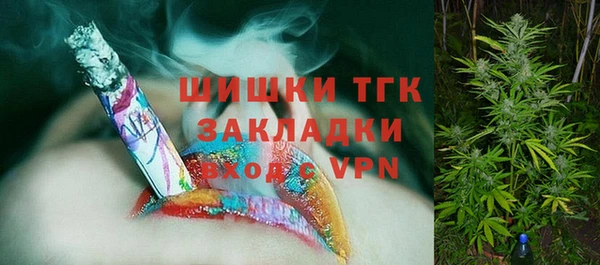 шишки Краснотурьинск