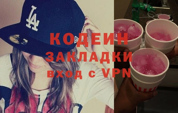 индика Краснослободск
