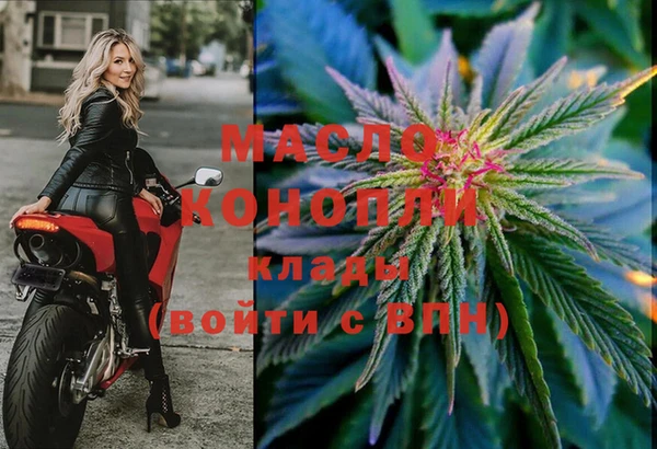 индика Краснослободск