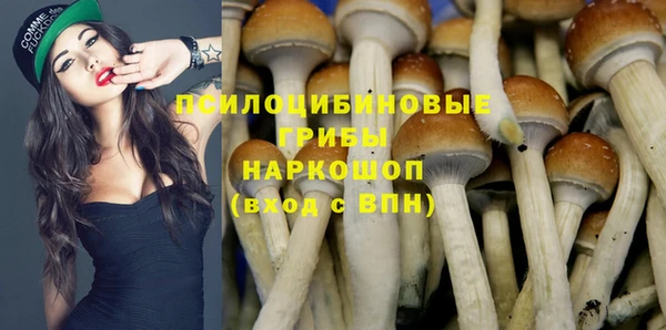 шишки Краснотурьинск