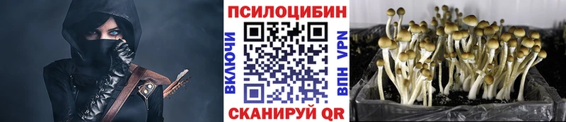 Псилоцибиновые грибы мухоморы Абакан