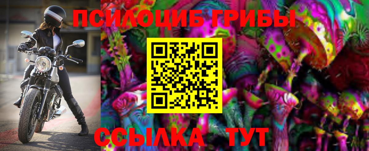 Псилоцибиновые грибы мухоморы  Абакан  купить наркотики сайты  Псилоцибиновые грибы Psilocybe 